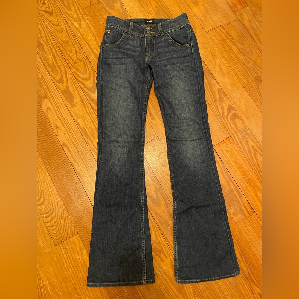Like new Hudson flare pants